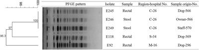 Frontiers Clonal Spread Of Extended Spectrum Cephalosporin Resistant   453873 Thumb 400 